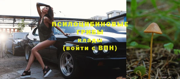 дурь Михайлов