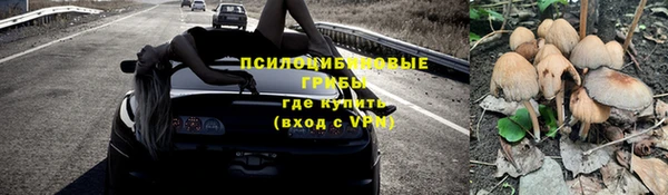 дурь Михайлов
